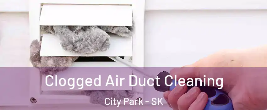  Clogged Air Duct Cleaning City Park - SK