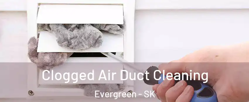  Clogged Air Duct Cleaning Evergreen - SK