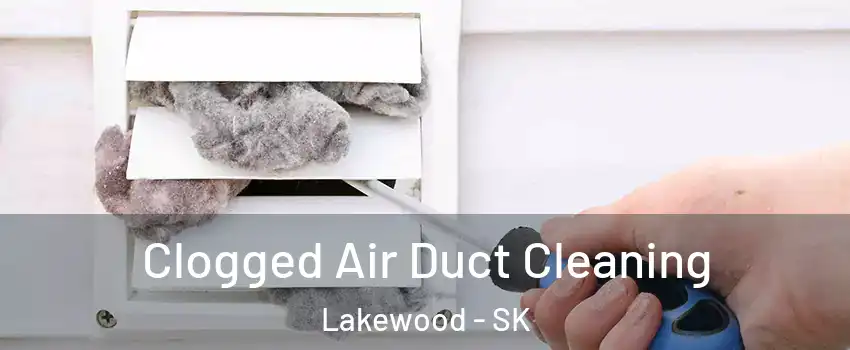  Clogged Air Duct Cleaning Lakewood - SK