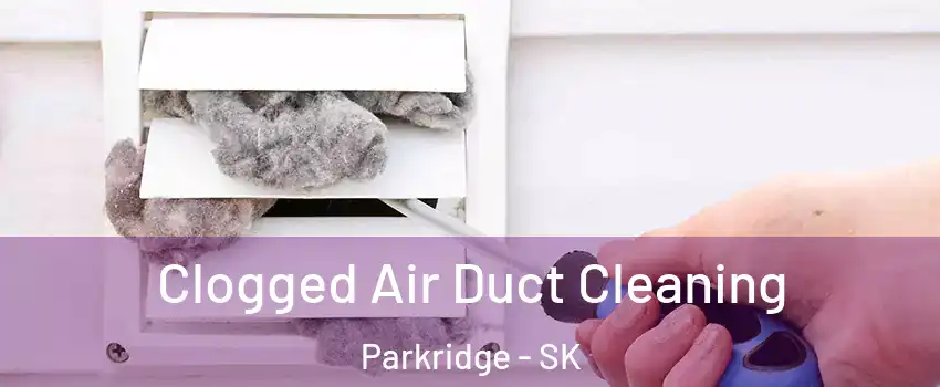  Clogged Air Duct Cleaning Parkridge - SK