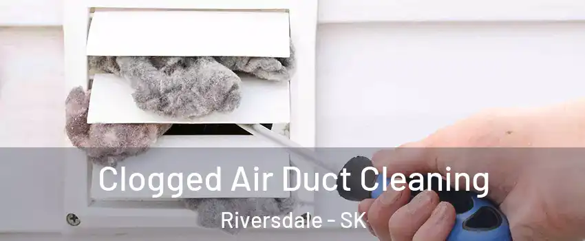  Clogged Air Duct Cleaning Riversdale - SK