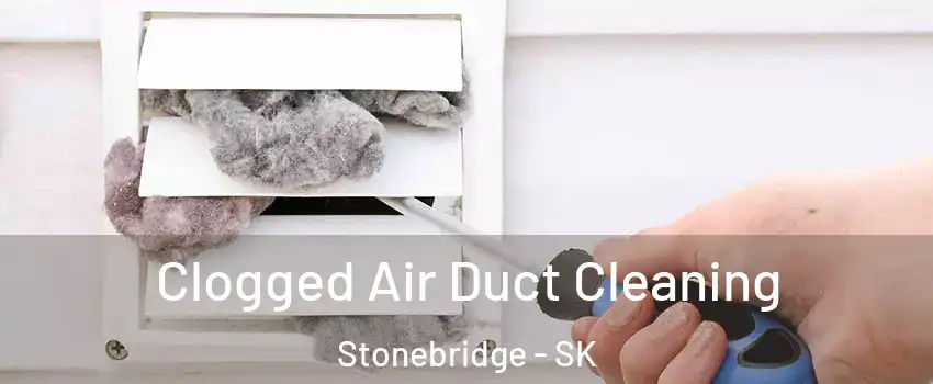  Clogged Air Duct Cleaning Stonebridge - SK