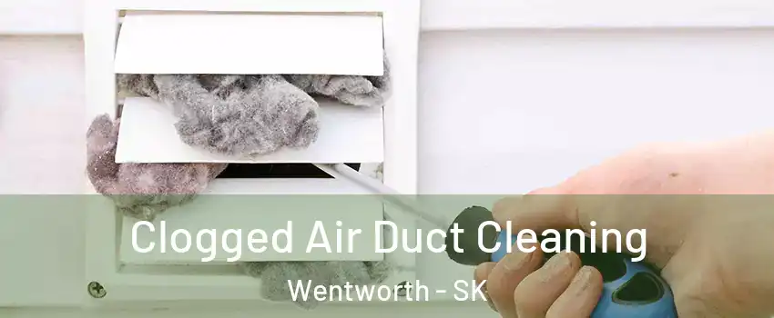  Clogged Air Duct Cleaning Wentworth - SK
