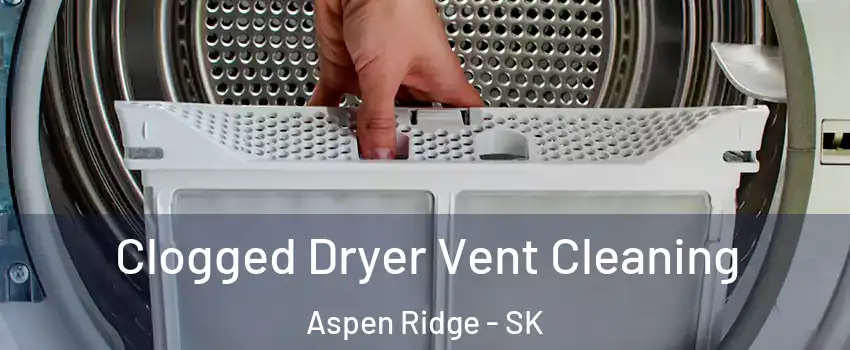  Clogged Dryer Vent Cleaning Aspen Ridge - SK