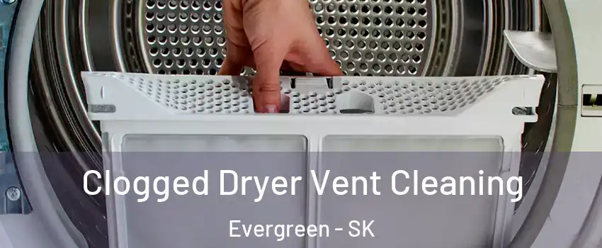  Clogged Dryer Vent Cleaning Evergreen - SK