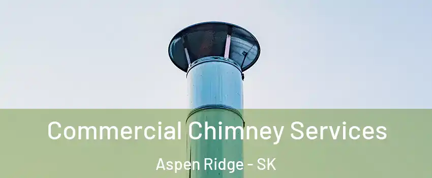  Commercial Chimney Services Aspen Ridge - SK