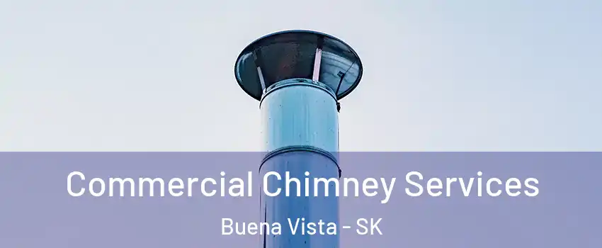 Commercial Chimney Services Buena Vista - SK
