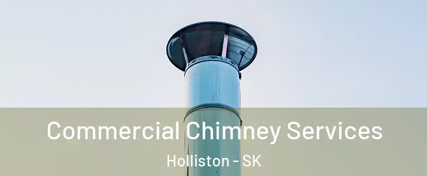  Commercial Chimney Services Holliston - SK