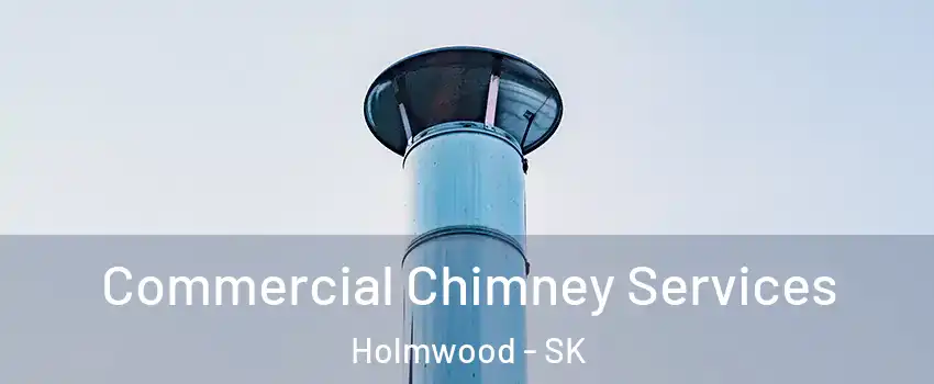  Commercial Chimney Services Holmwood - SK