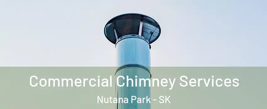  Commercial Chimney Services Nutana Park - SK