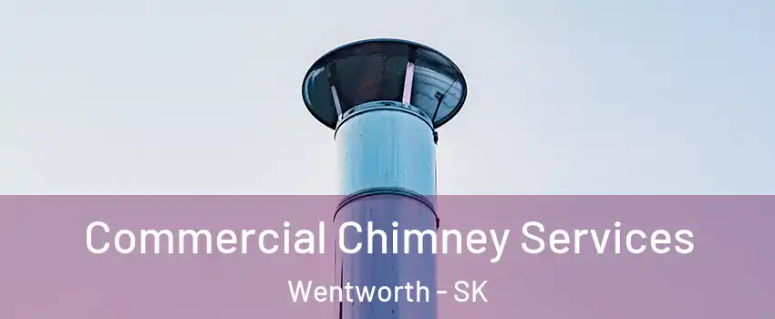 Commercial Chimney Services Wentworth - SK