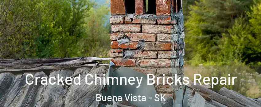  Cracked Chimney Bricks Repair Buena Vista - SK
