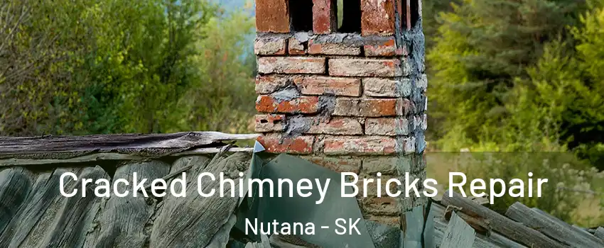  Cracked Chimney Bricks Repair Nutana - SK