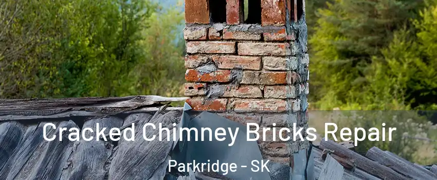  Cracked Chimney Bricks Repair Parkridge - SK