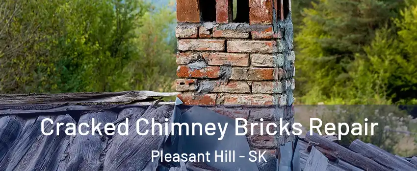  Cracked Chimney Bricks Repair Pleasant Hill - SK