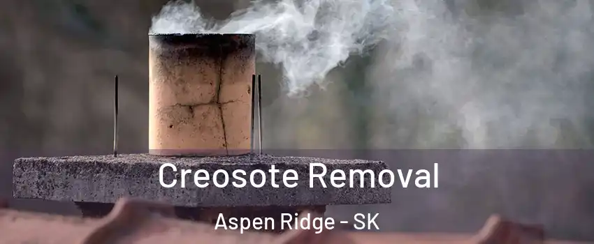  Creosote Removal Aspen Ridge - SK
