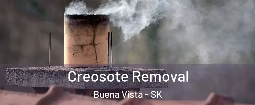  Creosote Removal Buena Vista - SK