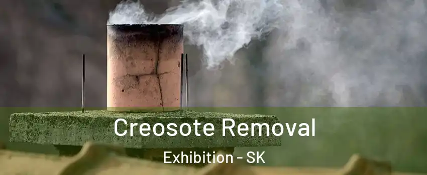  Creosote Removal Exhibition - SK