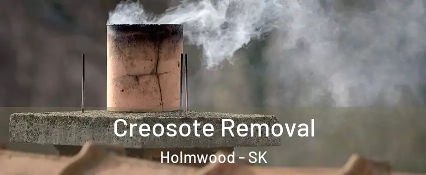  Creosote Removal Holmwood - SK