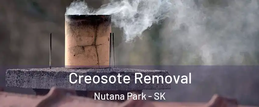  Creosote Removal Nutana Park - SK
