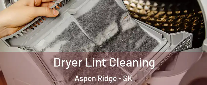  Dryer Lint Cleaning Aspen Ridge - SK