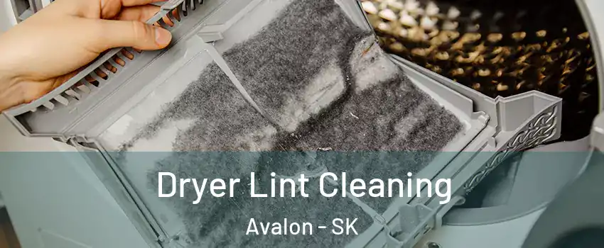  Dryer Lint Cleaning Avalon - SK