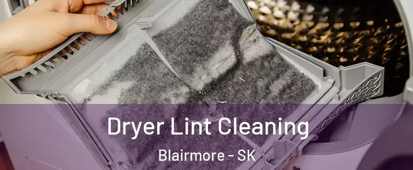  Dryer Lint Cleaning Blairmore - SK