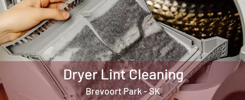  Dryer Lint Cleaning Brevoort Park - SK