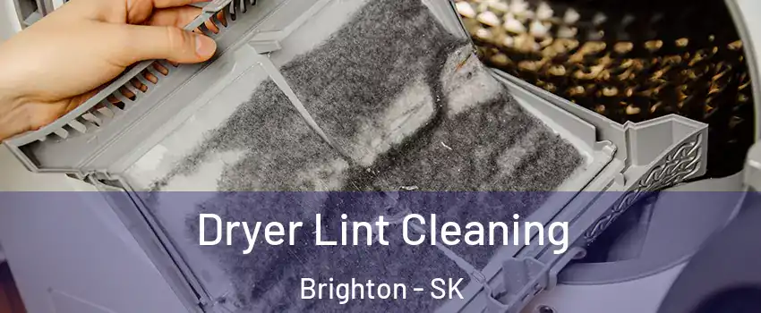  Dryer Lint Cleaning Brighton - SK