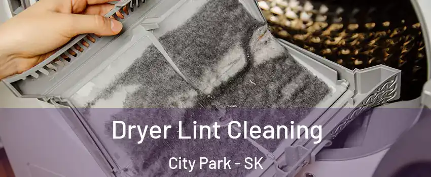  Dryer Lint Cleaning City Park - SK