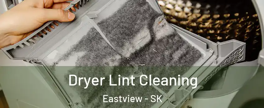  Dryer Lint Cleaning Eastview - SK