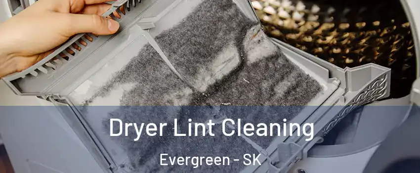  Dryer Lint Cleaning Evergreen - SK