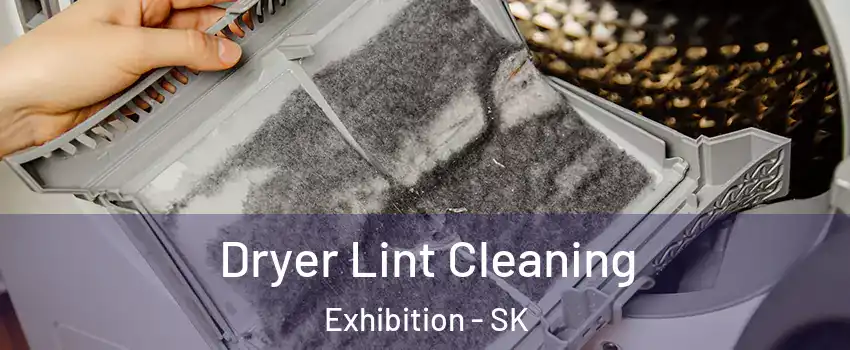  Dryer Lint Cleaning Exhibition - SK