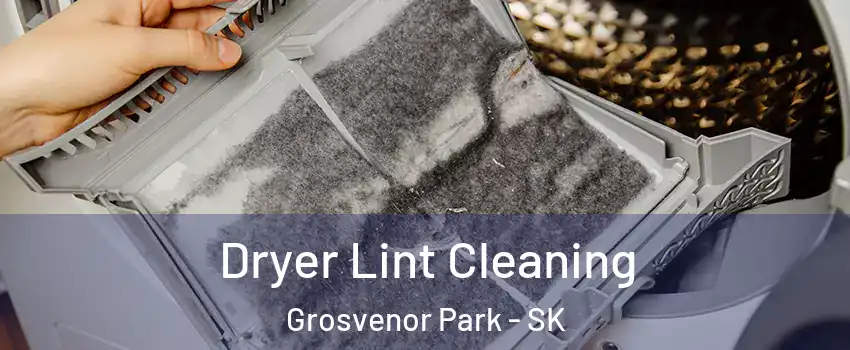  Dryer Lint Cleaning Grosvenor Park - SK