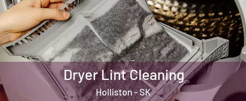  Dryer Lint Cleaning Holliston - SK