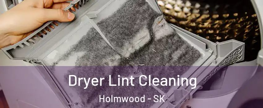  Dryer Lint Cleaning Holmwood - SK