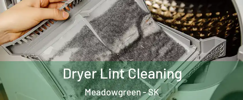  Dryer Lint Cleaning Meadowgreen - SK