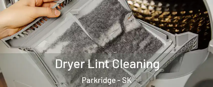  Dryer Lint Cleaning Parkridge - SK