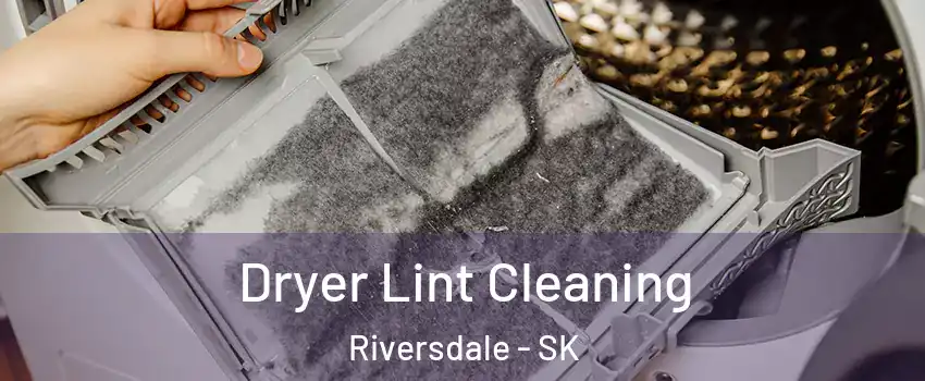  Dryer Lint Cleaning Riversdale - SK