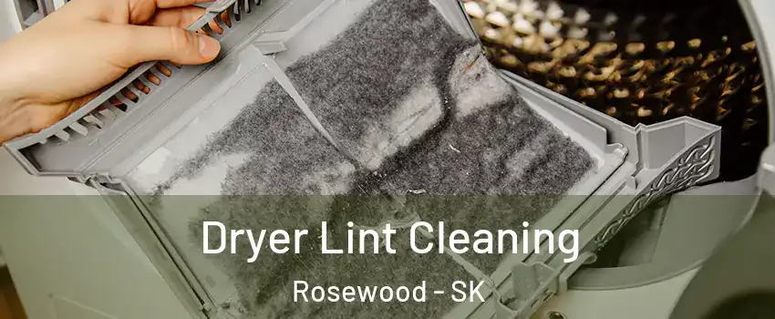  Dryer Lint Cleaning Rosewood - SK