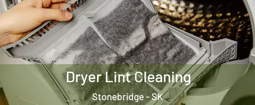  Dryer Lint Cleaning Stonebridge - SK