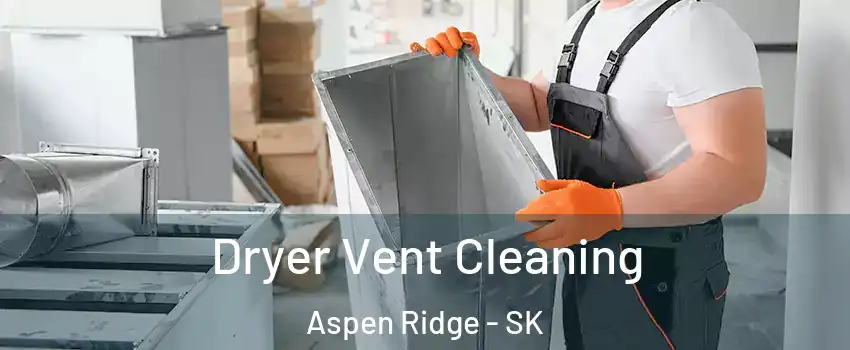  Dryer Vent Cleaning Aspen Ridge - SK