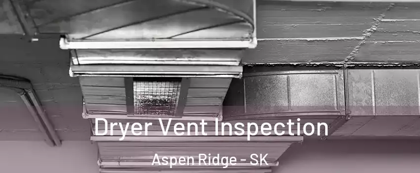  Dryer Vent Inspection Aspen Ridge - SK