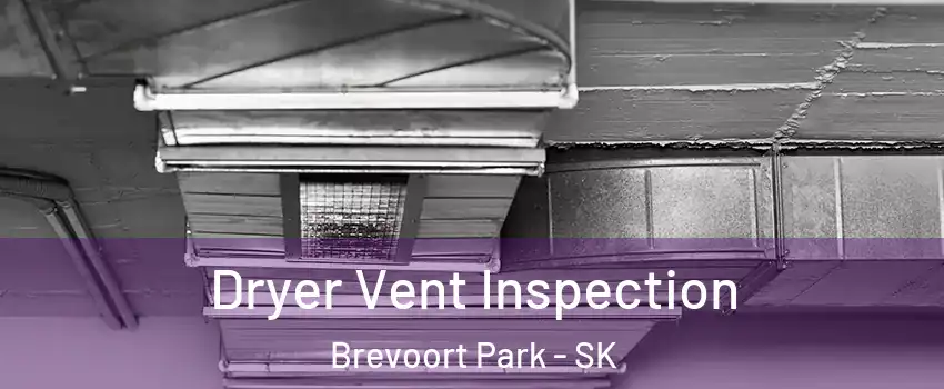  Dryer Vent Inspection Brevoort Park - SK
