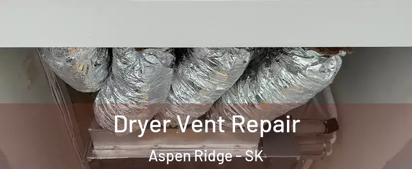  Dryer Vent Repair Aspen Ridge - SK