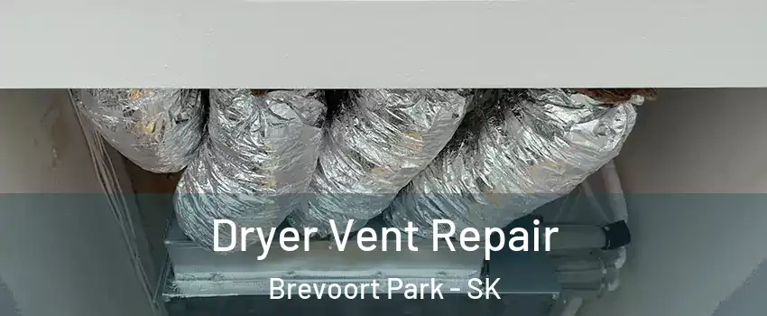 Dryer Vent Repair Brevoort Park - SK