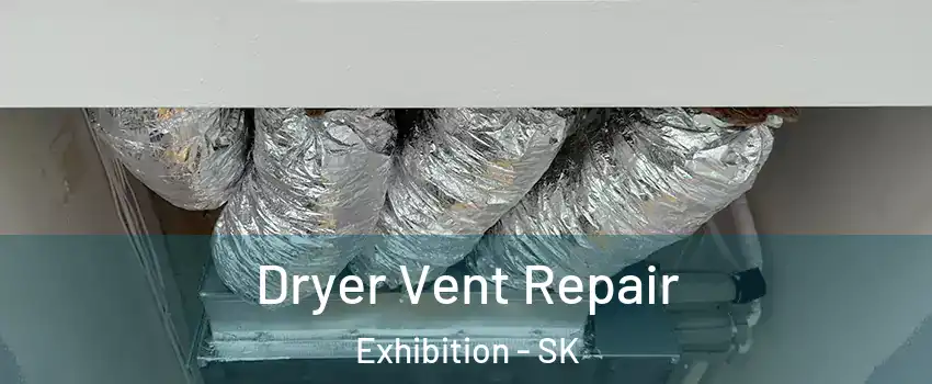  Dryer Vent Repair Exhibition - SK