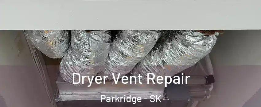  Dryer Vent Repair Parkridge - SK