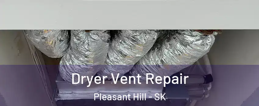  Dryer Vent Repair Pleasant Hill - SK