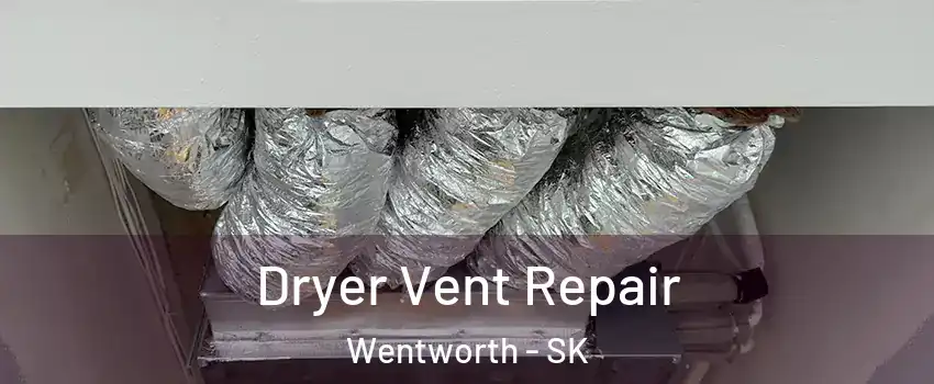  Dryer Vent Repair Wentworth - SK